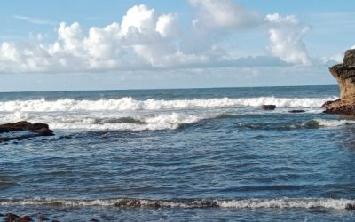 Widya Wisata Ke Bali