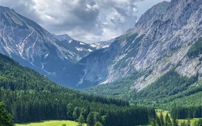 Karya literasi Cinta Alam( Januari )