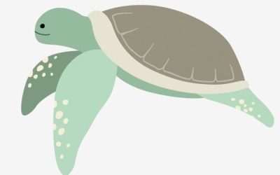 Karya literasi bulan Januari