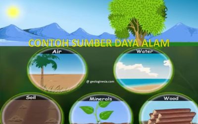 Literasi ( Cinta Alam ) Nadine / 7D /2