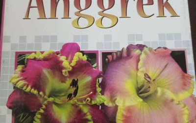 Pemeliharaan Bunga Anggrek