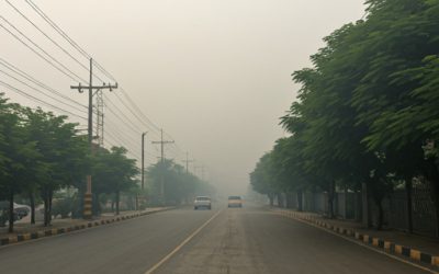 Dampak Polusi Udara Terhadap Kesehatan Manusia