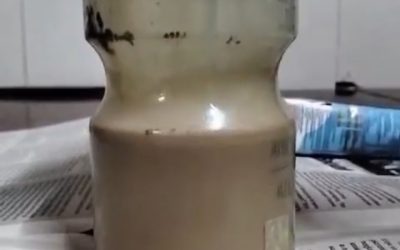 Susu Coklat Agak Laen