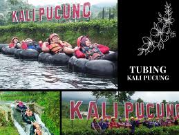 Tentang Live In