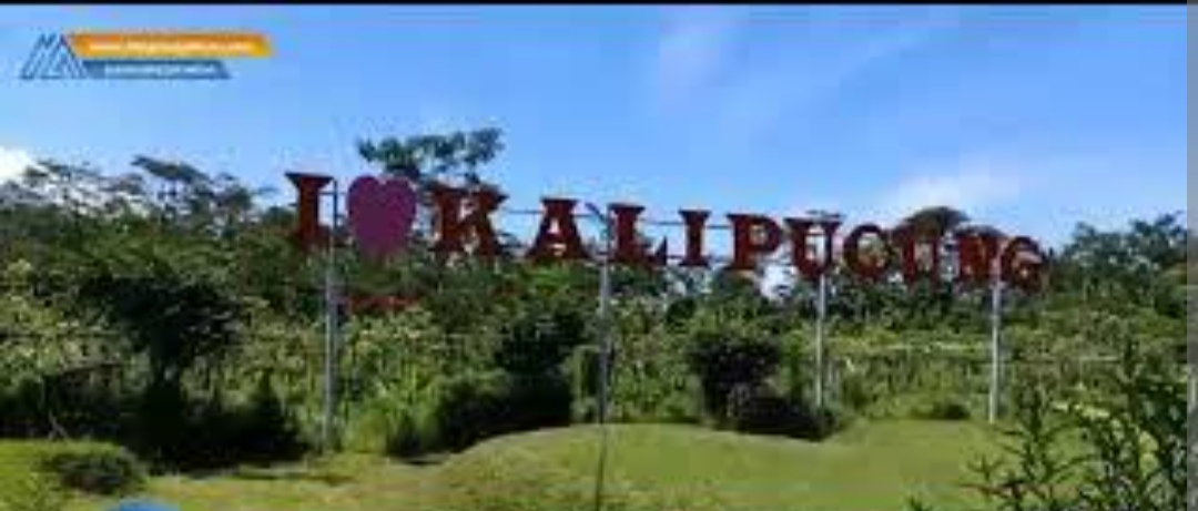 Live in di Dusun Kalipucung