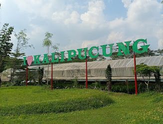 Petualangan Seru di Dusun Kalipucung: Pengalaman Live In yang Tak Terlupakan