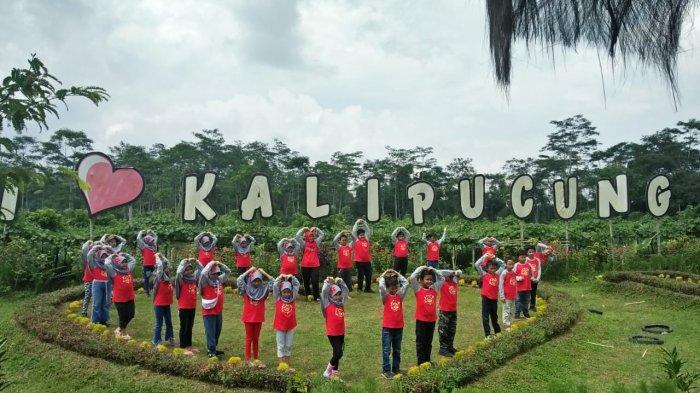 Live In SMP Maria Mediatrix