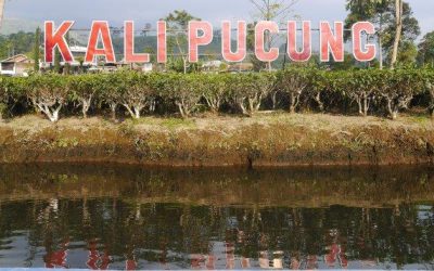 Live in di Dusun kalipucung